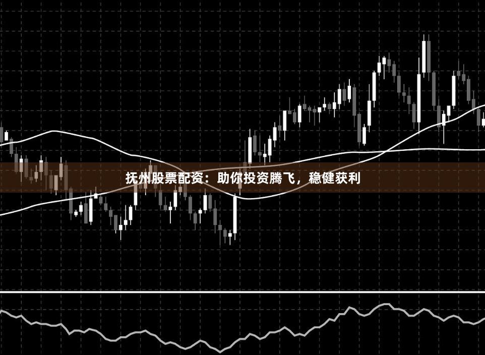 抚州股票配资:助你投资腾飞,稳健获利