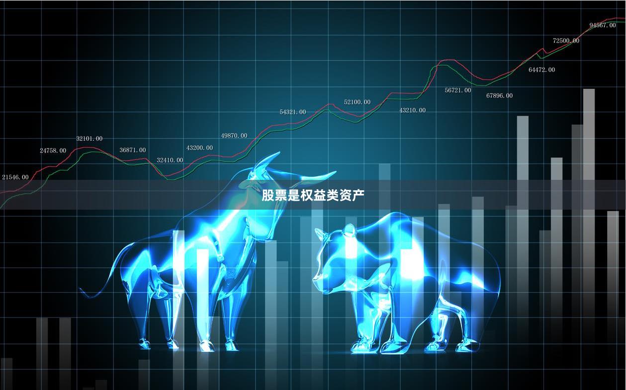 股票是权益类资产